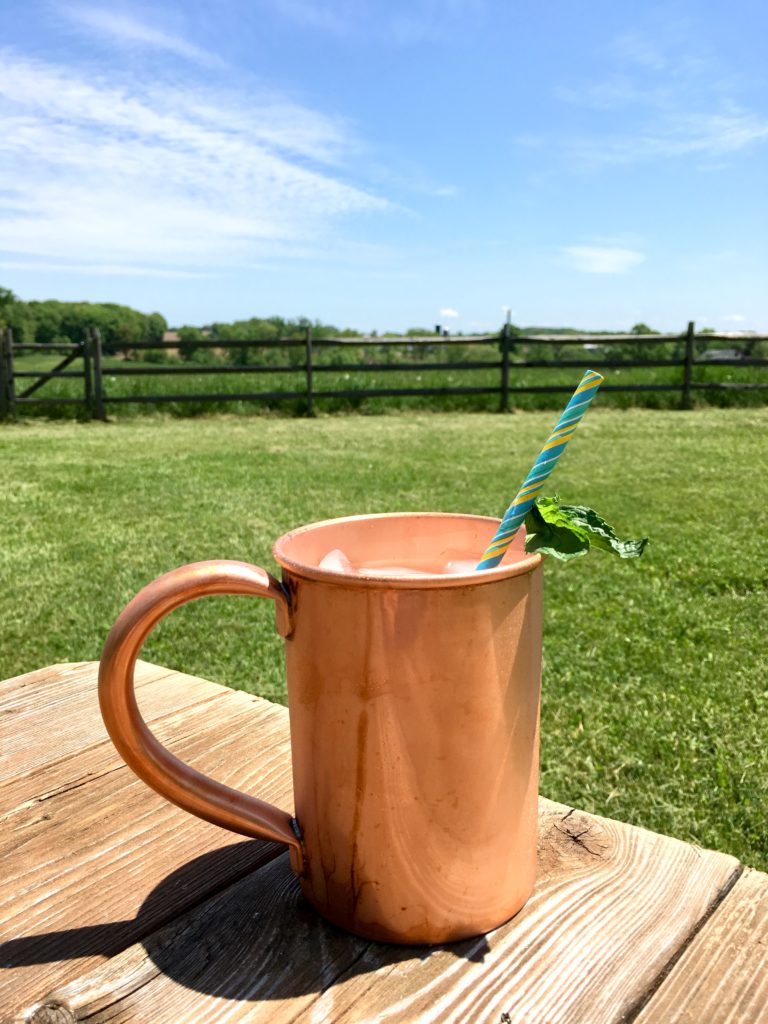Mojito-copper-mug-summer-drink