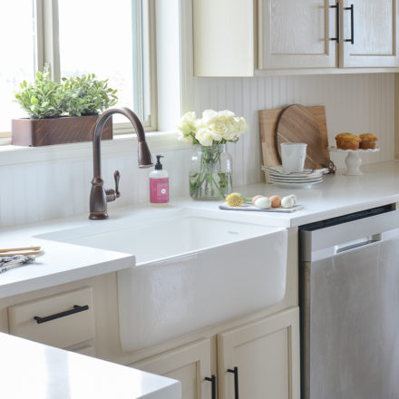 Fireclay Farmhouse Sink Review The, Farmhouse Sink Good Or Bad For Plants