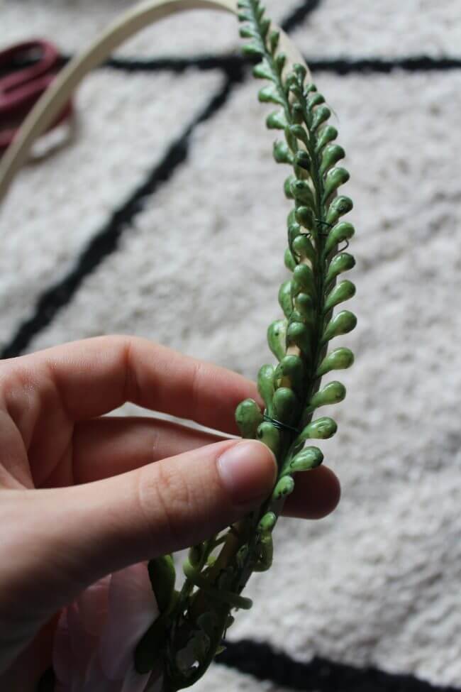 A hand holds a green succulent stem against a textured background, with a blurred circular object in the background.