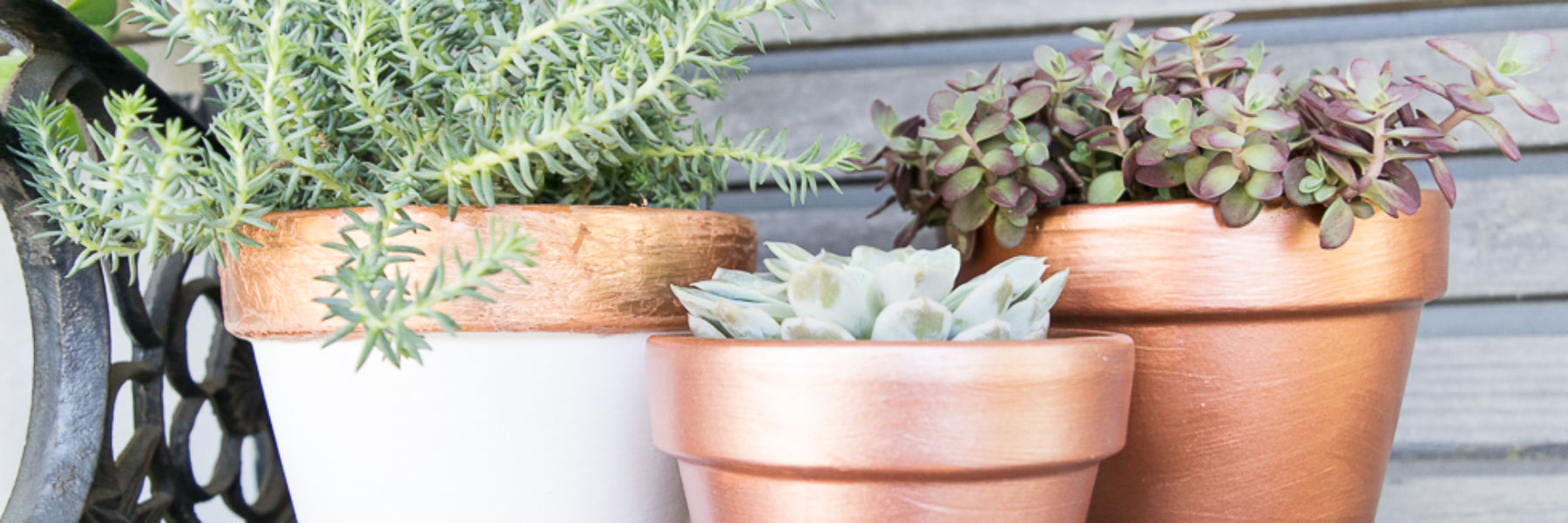 DIY-terra-cotta-planter-transformation