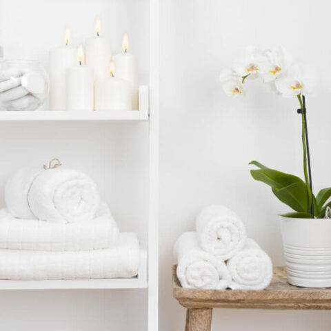 organized bathroom with shelf of towels and stool with plant