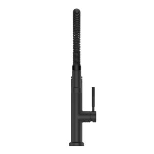 Bruton Matte Black Kitchen Faucet