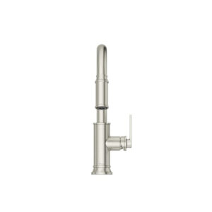 Colfax Stainless Kitchen Faucet
